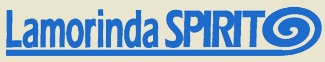 Spirit Van Logo Website