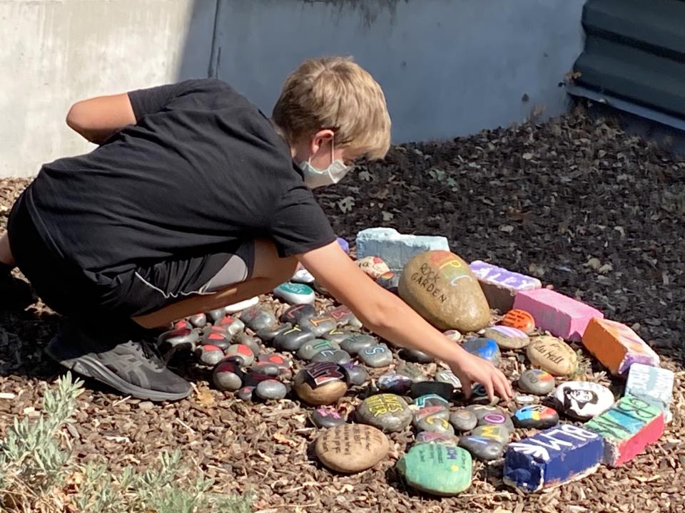 Adam Dolberg BIPOC Rock Garden