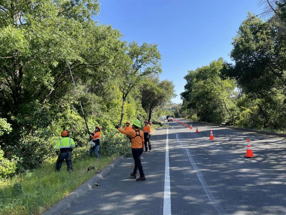 Photo of crew performing brush clearing in Lafayette - Spring 2024 - photo credit: Con Fire